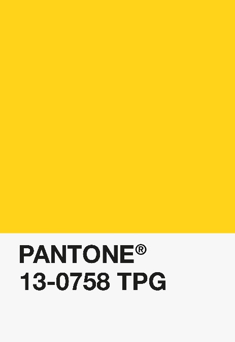 filamenti per stampa 3d pantone